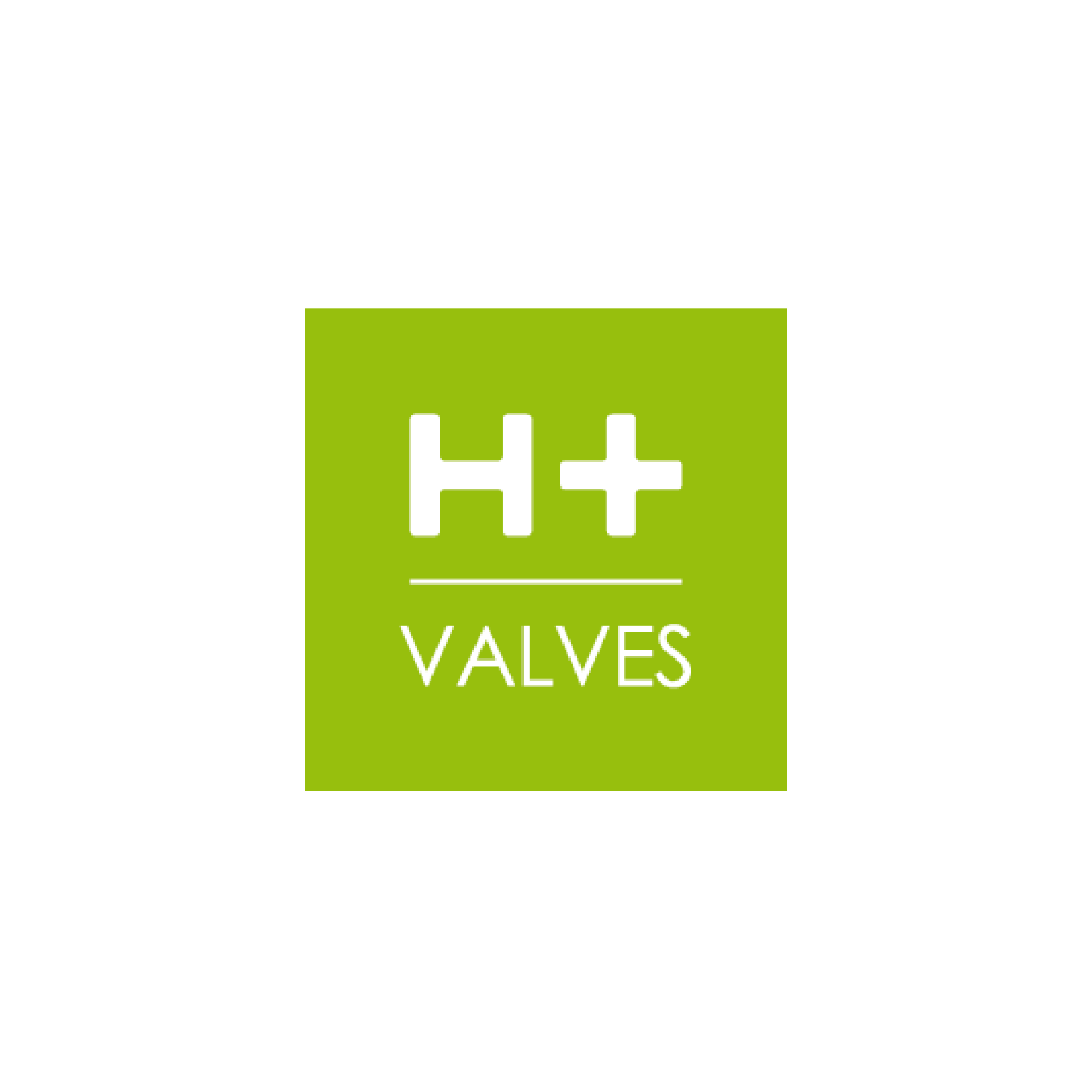 Logo H+Valves